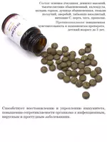  При постковидном периоде принимайте Огневка пчелиная «Иммунитет» 60 таблетка 500 мг от Altyn Solok ООО Урал купить в Ташкенте Только в розницу