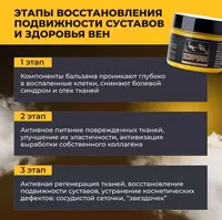  Scorpionix (Скорпионикс)® натуральный бальзам для суставов и здоровья вен купить в Ташкенте Только в розницу