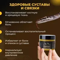  Salma.uz - Scorpionix (Скорпионикс)® Нормализует уровень синовиальный жидкости в суставной полости.  Укрепляет хрящи  препятствуя повторному разрушению