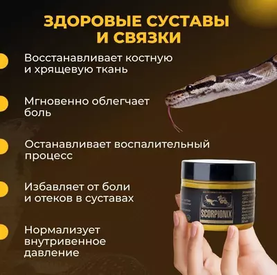 Scorpionix (Скорпионикс)® — это природный бальзам, направленный на решение сразу двух проблем: ревматоидный артрит и варикоз купить в Ташкенте