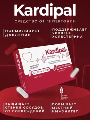 Капсулы Kardipal (Кардипал) для снижению риска развития сердечно-сосудистых заболеваний