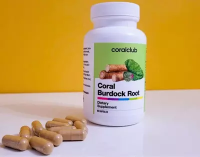   Coral Burdock Root (Qariqiz ildizi)  90 kapsula