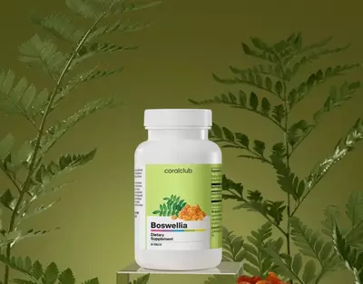 Coral Boswellia  90 kapsula