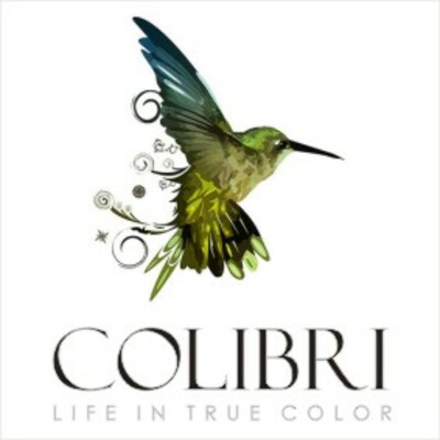 Дизайн студия COLIBRI: архитектура, дизайн жилых и общественных помещений
