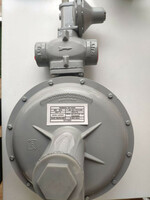 Регуляторы Давления Газа OTS (250)