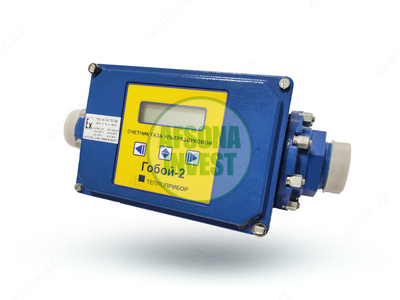 Счетчик газа ультразвуковой ГОБОЙ-2М G25-DN40-65-ГЛ