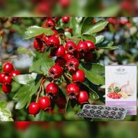 Швейцария - 349 806.6 сум