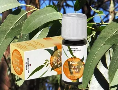 Швейцария - 218 364.1 сум / шт.