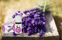 Эфирное масло лаванды французской Vivasan