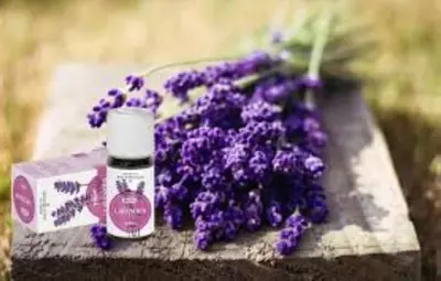 Эфирное масло лаванды французской Vivasan