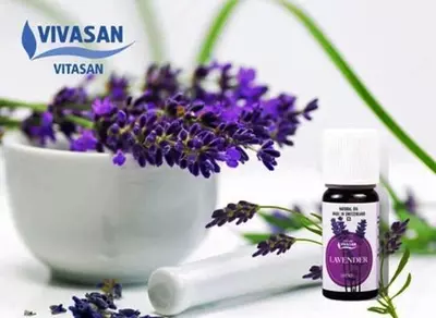 Швейцария - 237 444.5 сум / шт.