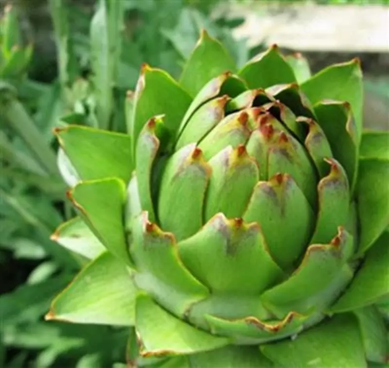 Швейцария - 506 689.6 сум