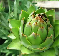 Швейцария - 506 689.6 сум