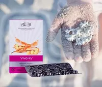Вива К2 Vivasan