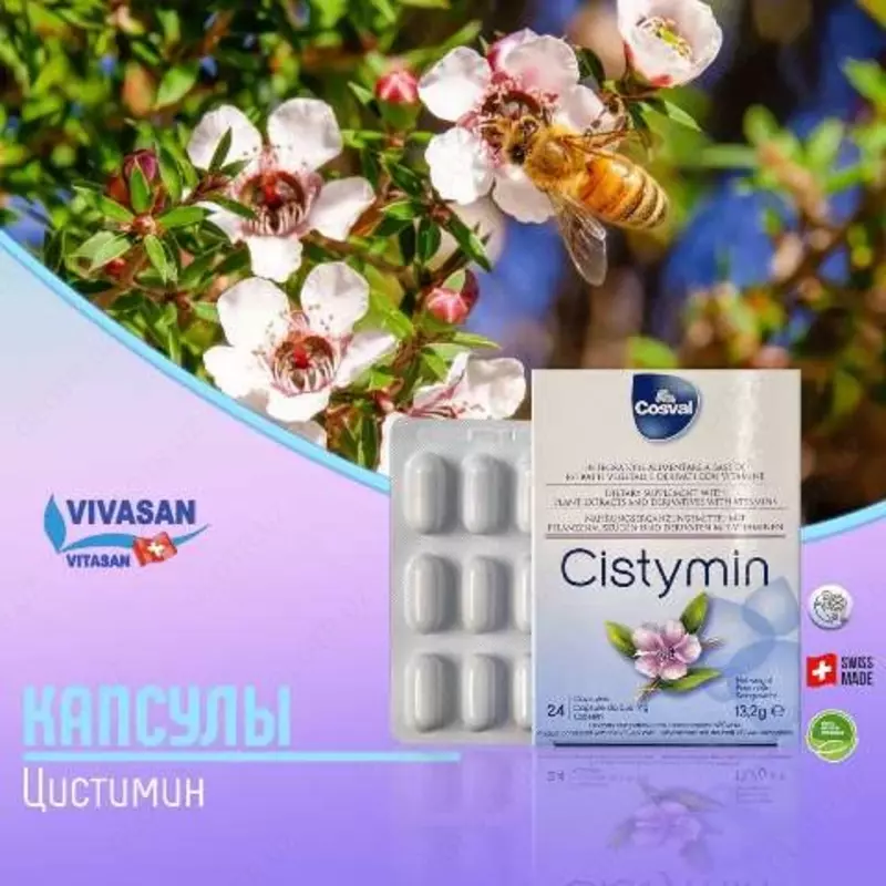 Cistimine - 462 168.7 so'm