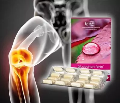 Глюкохон Форте для суставов Vivasan