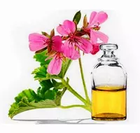 Швейцария - 527 890 сум