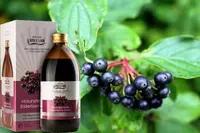 Напиток Бузина черная Vivasan