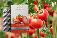 Швейцария - 750 494.2 сум