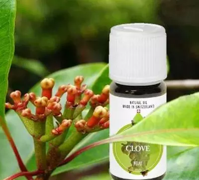 281 965.3 сум / шт. Эфирное масло ГВОЗДИКА