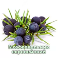  Эфирное масло Можжевельник Vivasan  Швейцария - 