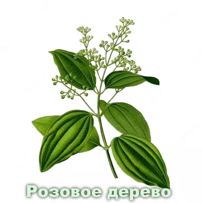 Эфирное масло Розовое дерево Vivasan, Швейцария