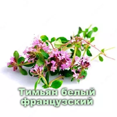 Крем Тимьян при воспалениях Vivasan, Швейцария Крем Тимьян при воспалениях Vivasan, Швейцария