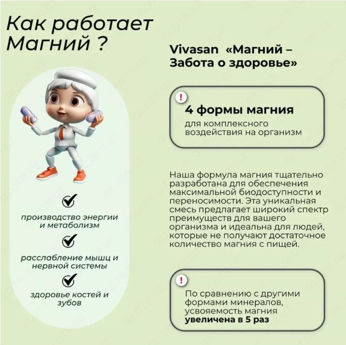 2024-12-18-16-59-40-516108-2dc06c85118187a15ac2c74db615de78.webp?_=ozbol