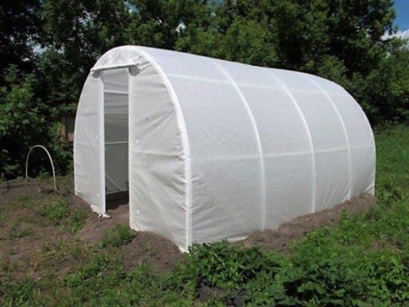 Теплицы