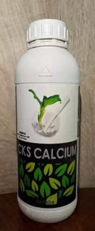 CKS CALCIUM (Испания)