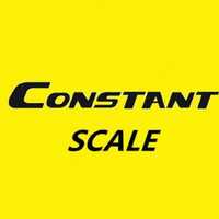 Весы крановые "CONSTANT" 30тн. (30000KG) - по запросу