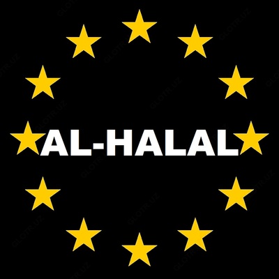 Весы AL-HALAL электронные до 40кг AHS-888