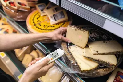 Testo 826-T2 - Инфракрасный термометр для пищевого сектора с лазерным целеуказателем (оптика 6:1)