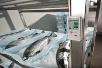 от {0} сум Testo 174 T - Мини-логгер данных температуры