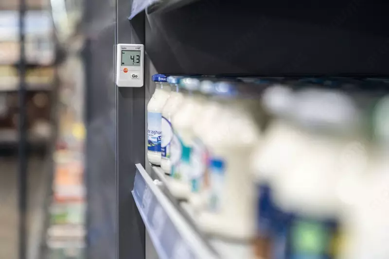 Testo 174 T - Мини-логгер данных температуры «МИР ВЕСОВ»