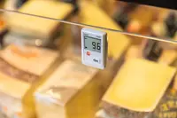 Testo 174 T - Мини-логгер данных температуры - «МИР ВЕСОВ»