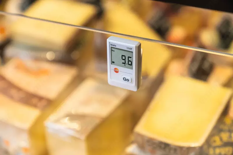 Testo 174 T - Мини-логгер данных температуры - «МИР ВЕСОВ»