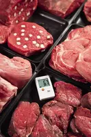 Комплект testo 174T - 1-канальный мини-логгер данных температуры с USB-интерфейсом Оптом и розница