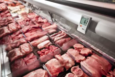 Комплект testo 174T - 1-канальный мини-логгер данных температуры с USB-интерфейсом - «МИР ВЕСОВ»