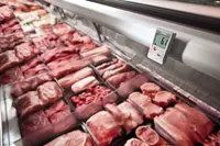 Комплект testo 174T - 1-канальный мини-логгер данных температуры с USB-интерфейсом - «МИР ВЕСОВ»