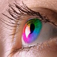 Цветные мягкие контактные линзы - 220 000 сум