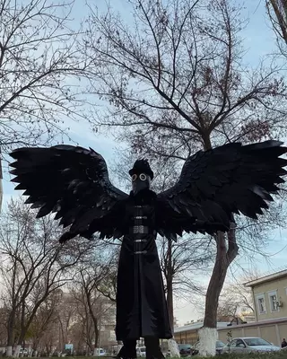 Костюм Ворона