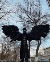 Костюм Ворона