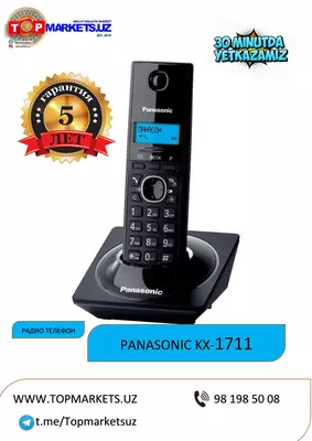 Panasonic 1711. Гарантия 5 года. Бесплатная доставка.