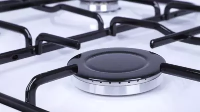 Кухонная плита Shivaki 6401-G (белый коричневый cерый бордов)