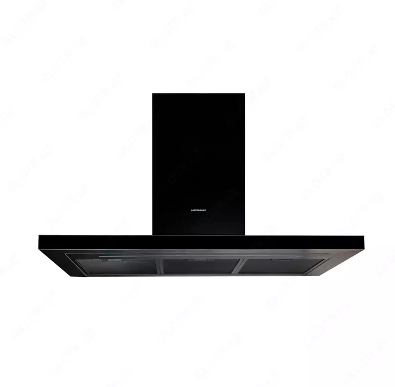 Вытяжка Hofmann HLBS904BG.2/HF