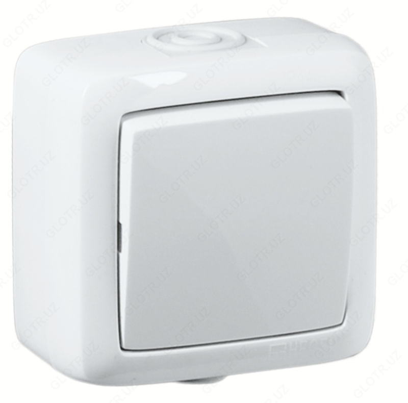 ВА10-211 выключатель одноклавишный Серия «ALFA IP44» открытой установки HEGEL