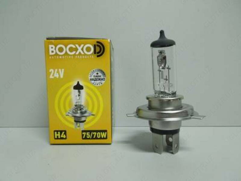 Автолампы 12v и 24V полный ассортимент на все виды автомобилей