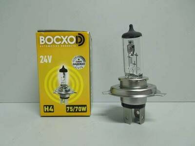 Автолампы 12v и 24V полный ассортимент на все виды автомобилей