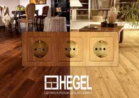 Розетки выключатели распродажа серии Master HEGEL срок службы не менее 15 лет Оптом и розница